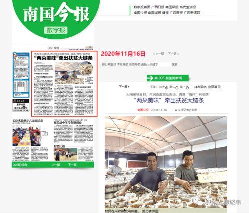 今天广西的爆料新闻最新,神秘事件引发全民热议 第2张 今天广西的爆料新闻最新,神秘事件引发全民热议 第2张